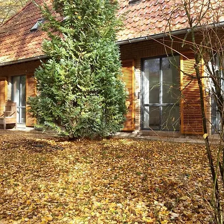 Im Buchenwäldchen - Ruhig Gelegenes Haus In Der Für Bis Zu 12 Personen Ferienhaus