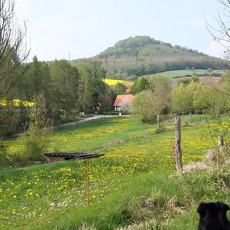 Im Buchenwaeldchen - Ruhig Gelegenes Haus - Wlan - Sauna - Garten 5000qm Und Grill Bis 12 Personen - Willkommen - Nur 10 Km Von Goettingen Casa de Férias *