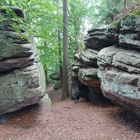 Im Buchenwaeldchen - Ruhig Gelegenes Haus In Der Fuer Bis Zu 12 Personen Vakantiehuis
