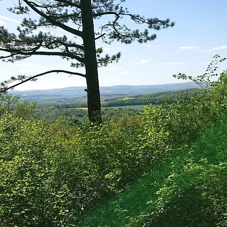 Im Buchenwaeldchen - Ruhig Gelegenes Haus - Wlan - Sauna - Garten 5000qm Und Grill Bis 12 Personen - Willkommen - Nur 10 Km Von Goettingen Gleichen