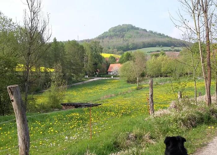 Im Buchenwaeldchen - Ruhig Gelegenes Haus In Der Fuer Bis Zu 12 Personen Dom wakacyjny *