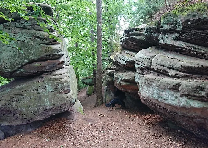 Im Buchenwaeldchen - Ruhig Gelegenes Haus In Der Fuer Bis Zu 12 Personen Dom wakacyjny