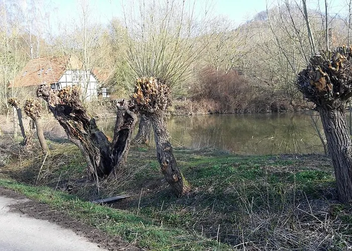 Im Buchenwaeldchen - Ruhig Gelegenes Haus In Der Fuer Bis Zu 12 Personen
